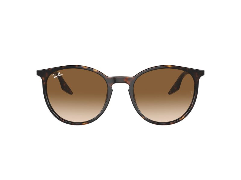 Ray-Ban Solglasögon RB 0RB2204 902/51
