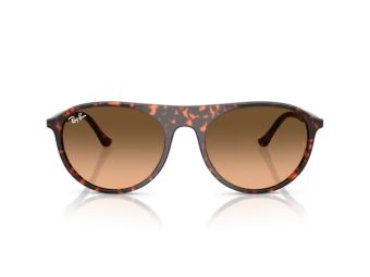 Ray-Ban Solglasögon RB 2215 14293B