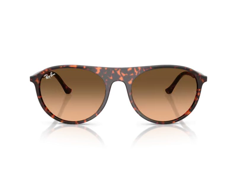 Ray-Ban Solglasögon RB 2215 14293B