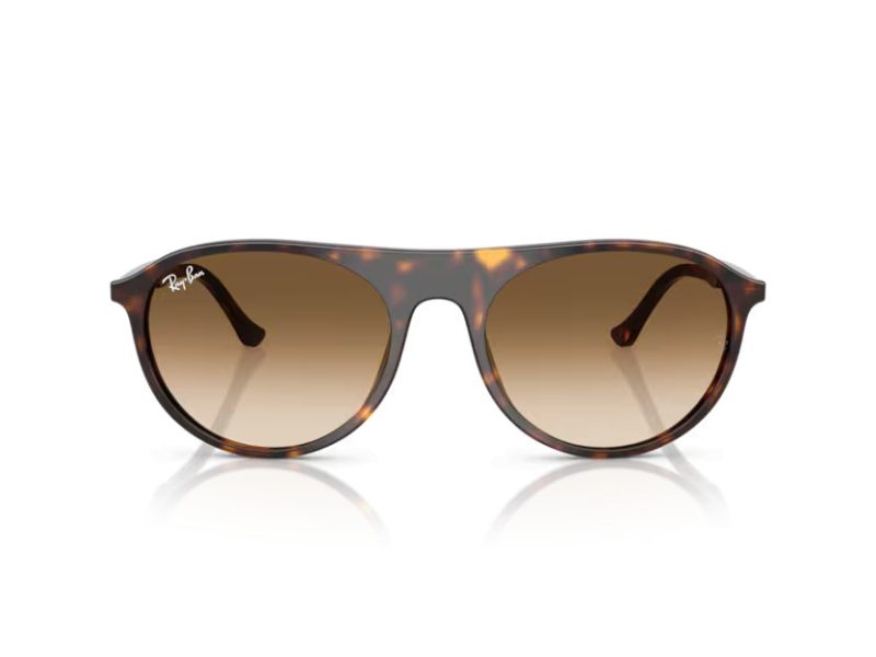 Ray-Ban Solglasögon RB 2215 902/51