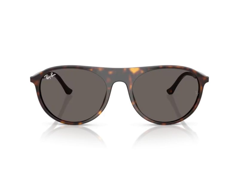 Ray-Ban Solglasögon RB 2215 902/B1