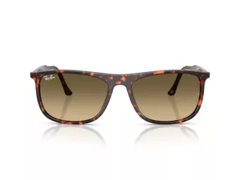 Ray-Ban Solglasögon RB 2216 14290A