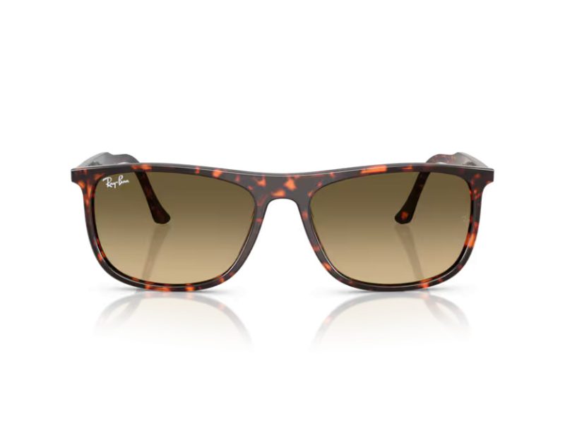 Ray-Ban Solglasögon RB 2216 14290A