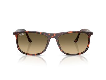 Ray-Ban Solglasögon RB 2216 14290A
