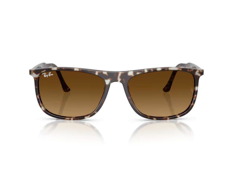 Ray-Ban Solglasögon RB 2216 143185