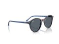Ray-Ban Bernard Solglasögon RB 2230 1420GK