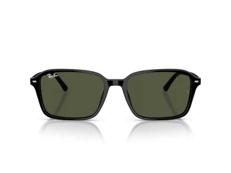Ray-Ban Raimond Solglasögon RB 2231 901/31