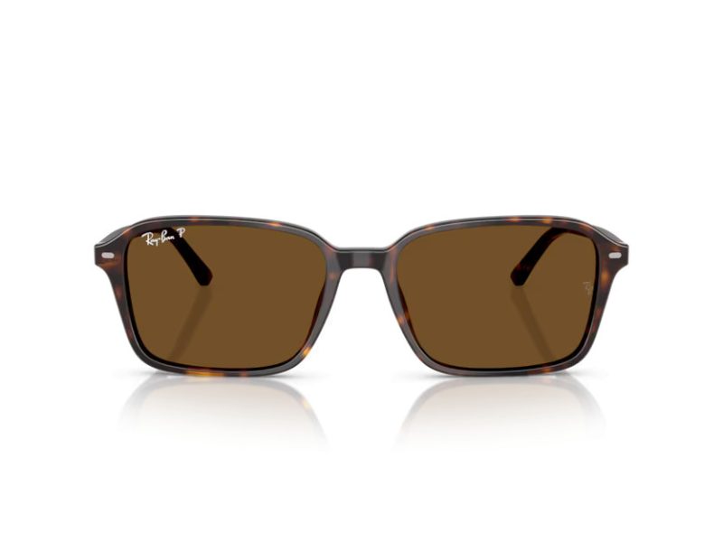 Ray-Ban Raimond Solglasögon RB 2231 902/57