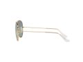 Ray-Ban Aviator Large Metal Solglasögon RB 3025 9196/G4