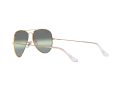Ray-Ban Aviator Large Metal Solglasögon RB 3025 9196/G4