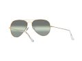 Ray-Ban Aviator Large Metal Solglasögon RB 3025 9196/G4