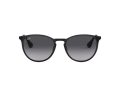 Ray-Ban Erika Metal Solglasögon RB 3539 002/8G