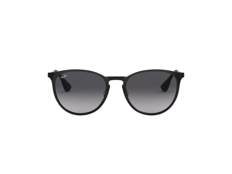 Ray-Ban Erika Metal Solglasögon RB 3539 002/8G