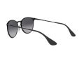 Ray-Ban Erika Metal Solglasögon RB 3539 002/8G