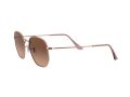 Ray-Ban Hexagonal Solglasögon RB 3548N 9069/A5