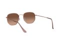 Ray-Ban Hexagonal Solglasögon RB 3548N 9069/A5