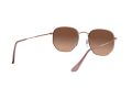 Ray-Ban Hexagonal Solglasögon RB 3548N 9069/A5