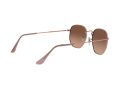Ray-Ban Hexagonal Solglasögon RB 3548N 9069/A5