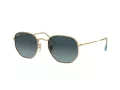 Ray-Ban Hexagonal Solglasögon RB 3548N 91233M