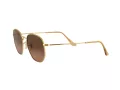 Ray-Ban Hexagonal Solglasögon RB 3548N 912443