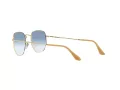 Ray-Ban Hexagonal Solglasögon RB 3548 001/3F