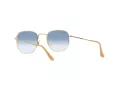 Ray-Ban Hexagonal Solglasögon RB 3548 001/3F