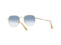Ray-Ban Hexagonal Solglasögon RB 3548 001/3F