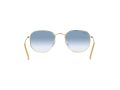 Ray-Ban Hexagonal Solglasögon RB 3548 001/3F