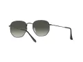 Ray-Ban Hexagonal Solglasögon RB 3548 002/71