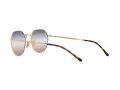 Ray-Ban Jack Solglasögon RB 3565 001/GD