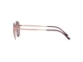 Ray-Ban Jack Solglasögon RB 3565 9202/G9