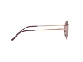Ray-Ban Jack Solglasögon RB 3565 9202/G9