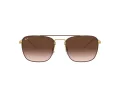Ray-Ban Solglasögon RB 3588 9055/13