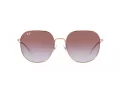 Ray-Ban Solglasögon RB 3680D 9202I8