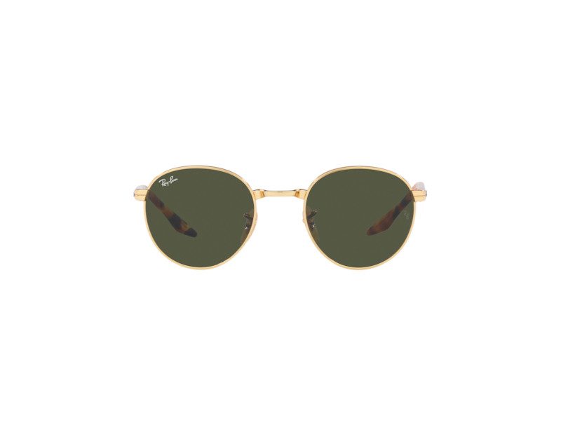 Ray-Ban Solglasögon RB 3691 001/31