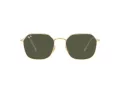 Ray-Ban Jim Solglasögon RB 3694 001/31