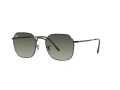 Ray-Ban Jim Solglasögon RB 3694 002/71