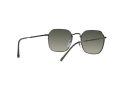 Ray-Ban Jim Solglasögon RB 3694 002/71