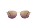 Ray-Ban Jim Solglasögon RB 3694 9202/G9