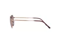 Ray-Ban Jim Solglasögon RB 3694 9202/G9