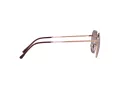 Ray-Ban Jim Solglasögon RB 3694 9202/G9