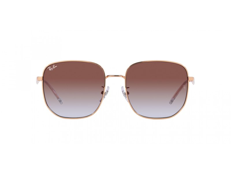 Ray-Ban Solglasögon RB 3713D 9202I8