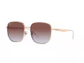 Ray-Ban Solglasögon RB 3713D 9202I8