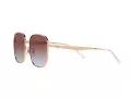 Ray-Ban Solglasögon RB 3713D 9202I8