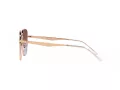 Ray-Ban Solglasögon RB 3713D 9202I8