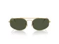 Ray-Ban Explorer 5 Solglasögon RB 3845 919631