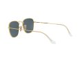 Ray-Ban Frank Solglasögon 3857 9196R5