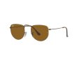 Ray-Ban Elon Solglasögon RB 3958 9228/33