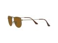 Ray-Ban Elon Solglasögon RB 3958 9228/33