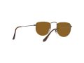 Ray-Ban Elon Solglasögon RB 3958 9228/33